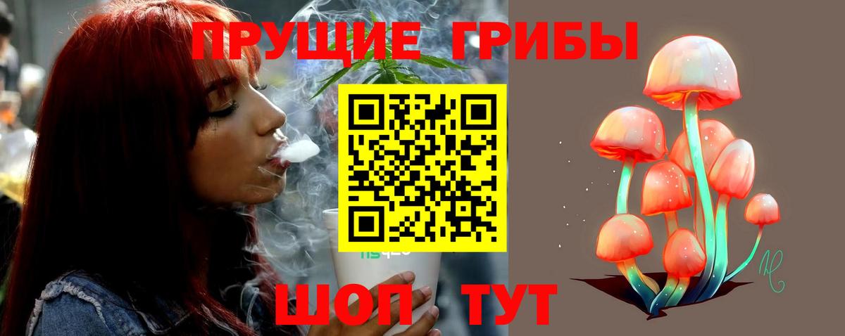 Галлюциногенные грибы MAGIC MUSHROOMS Тайшет